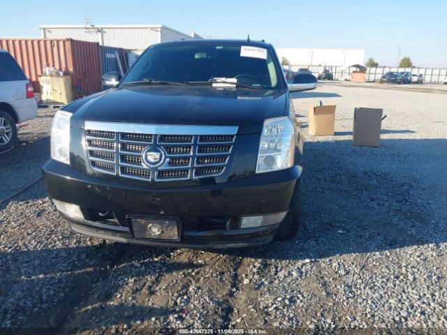 2010 CADILLAC ESCALADE 1GYUKBEF1AR201207 Photo 5