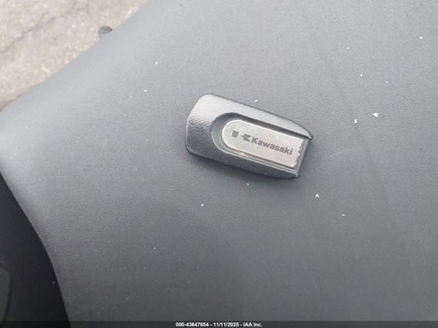 2015 KAWASAKI ZG1400 JKBZGNE11FA001488 Photo 10