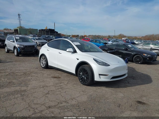 2023 TESLA MODEL Y 7SAYGDEEXPA038762 Photo 0