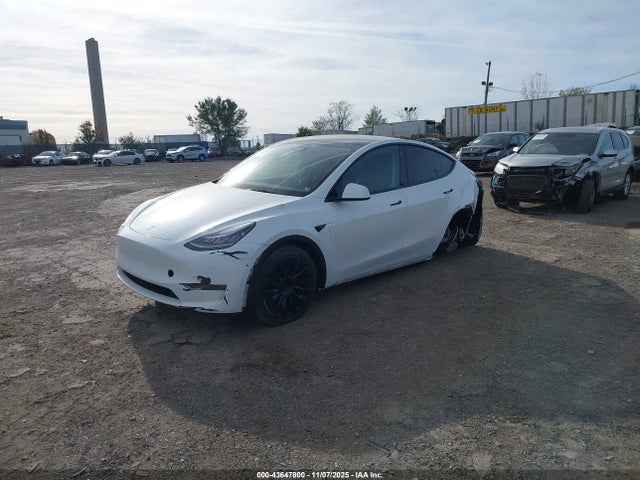 2023 TESLA MODEL Y 7SAYGDEEXPA038762 Photo 1