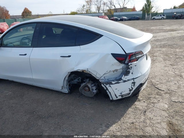2023 TESLA MODEL Y 7SAYGDEEXPA038762 Photo 5