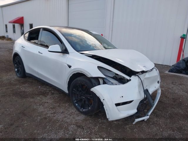 2020 TESLA MODEL Y 5YJYGDEE3LF017097