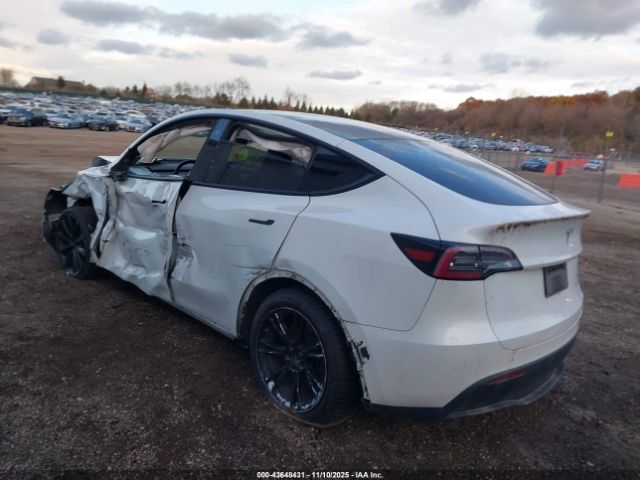 2020 TESLA MODEL Y 5YJYGDEE3LF017097 Photo 2