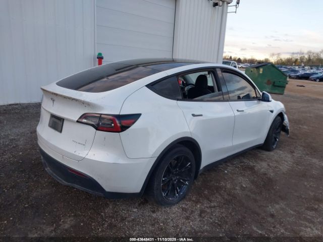 2020 TESLA MODEL Y 5YJYGDEE3LF017097 Photo 3