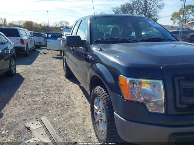 2013 FORD F-150 1FTFX1EF1DFC73055