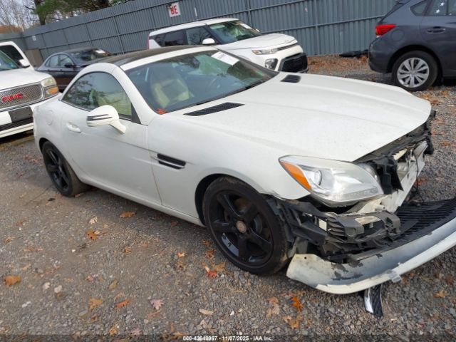 2013 MERCEDES-BENZ SLK 250 WDDPK4HA9DF057190