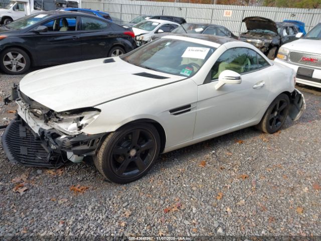 2013 MERCEDES-BENZ SLK 250 WDDPK4HA9DF057190 Photo 1