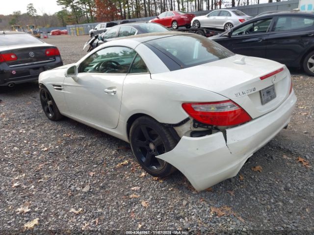 2013 MERCEDES-BENZ SLK 250 WDDPK4HA9DF057190 Photo 2