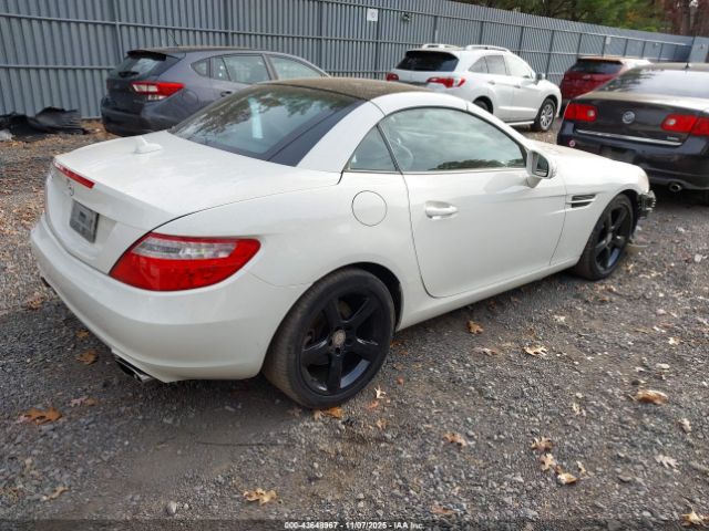 2013 MERCEDES-BENZ SLK 250 WDDPK4HA9DF057190 Photo 3