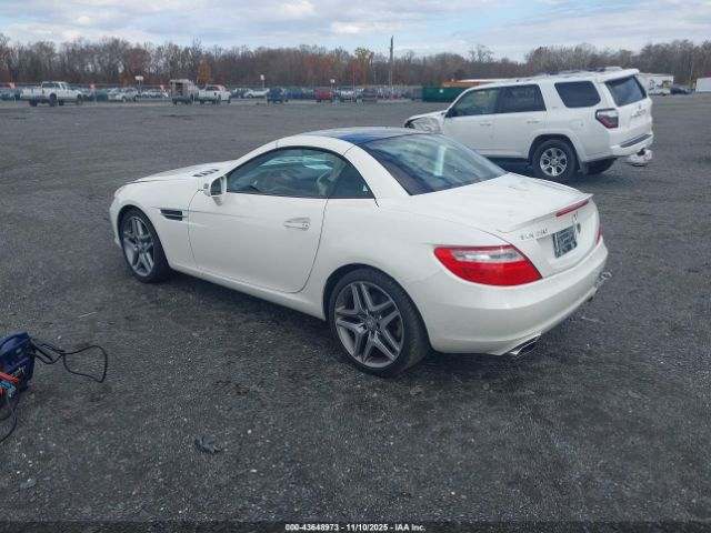 2015 MERCEDES-BENZ SLK 250 WDDPK4HA4FF098264 Photo 2