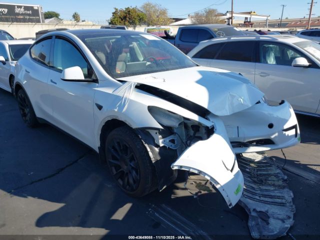 2023 TESLA MODEL Y 7SAYGAEE5PF596536