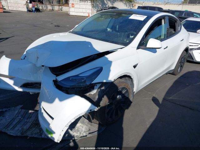 2023 TESLA MODEL Y 7SAYGAEE5PF596536 Photo 1