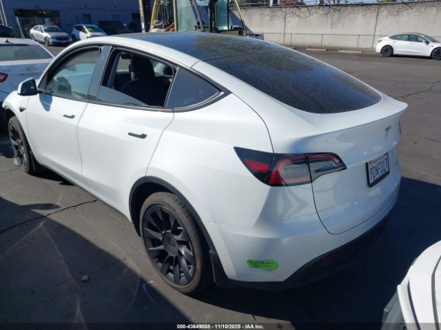 2023 TESLA MODEL Y 7SAYGAEE5PF596536 Photo 2