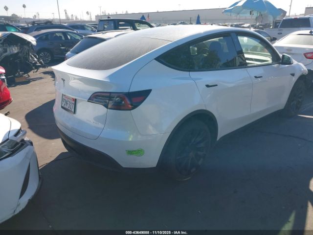 2023 TESLA MODEL Y 7SAYGAEE5PF596536 Photo 3