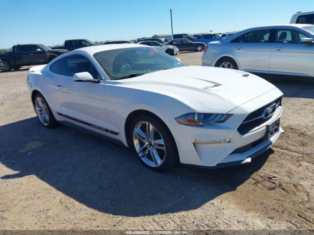 2019 FORD MUSTANG 1FA6P8TH1K5185659