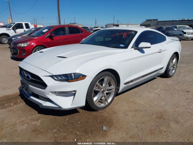 2019 FORD MUSTANG 1FA6P8TH1K5185659 Photo 1
