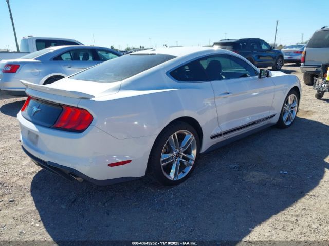 2019 FORD MUSTANG 1FA6P8TH1K5185659 Photo 3