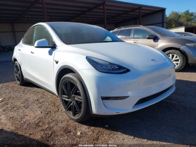 2021 TESLA MODEL Y 5YJYGDEE6MF090241