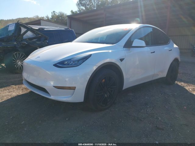 2021 TESLA MODEL Y 5YJYGDEE6MF090241 Photo 1