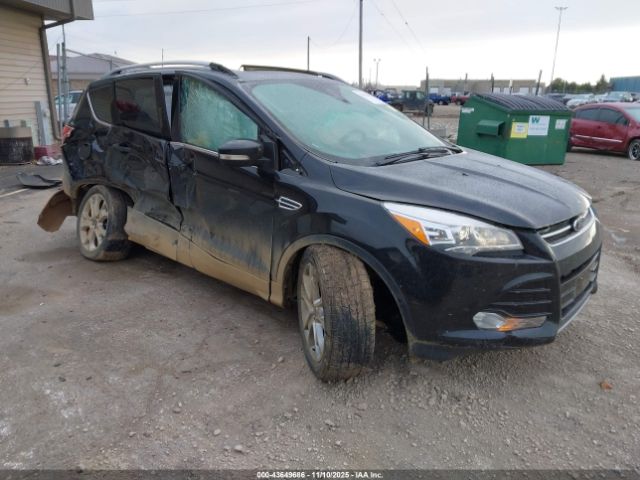 2015 FORD ESCAPE 1FMCU9J96FUA59862