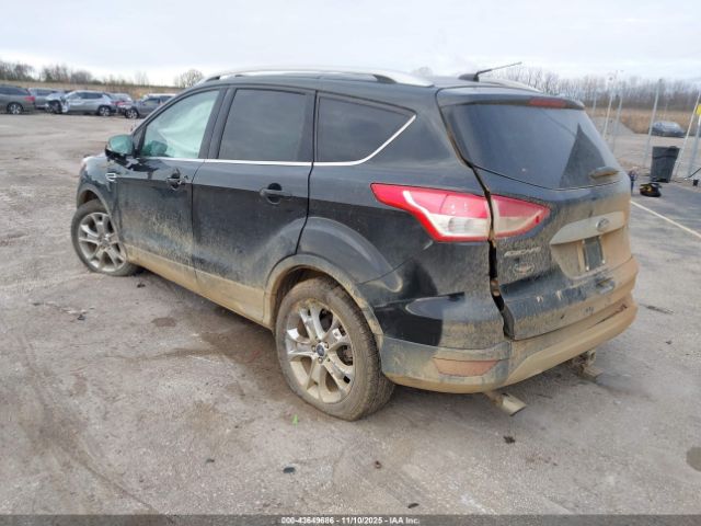 2015 FORD ESCAPE 1FMCU9J96FUA59862 Photo 2