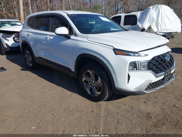 2023 HYUNDAI SANTA FE 5NMS1DAJ5PH488604