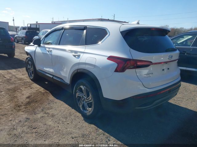 2023 HYUNDAI SANTA FE 5NMS1DAJ5PH488604 Photo 2