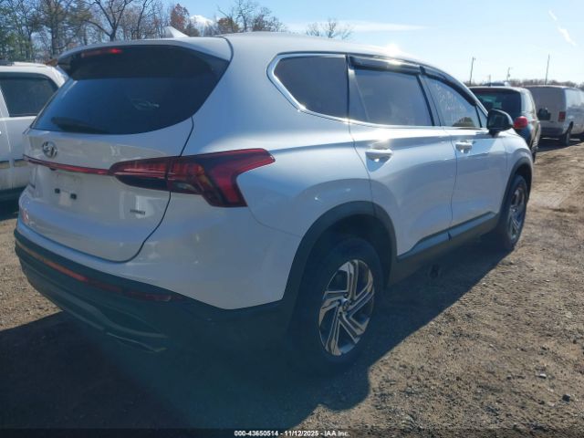 2023 HYUNDAI SANTA FE 5NMS1DAJ5PH488604 Photo 3