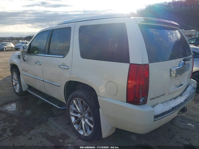 2007 CADILLAC ESCALADE 1GYFK63887R192325 Photo 2