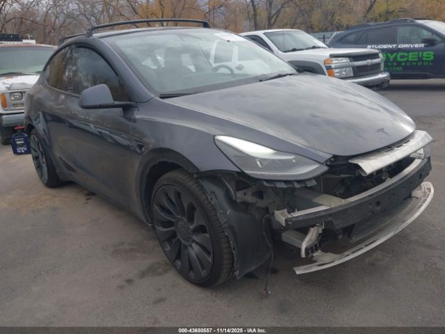 2022 TESLA MODEL Y 7SAYGDEF3NF506307 Photo 0