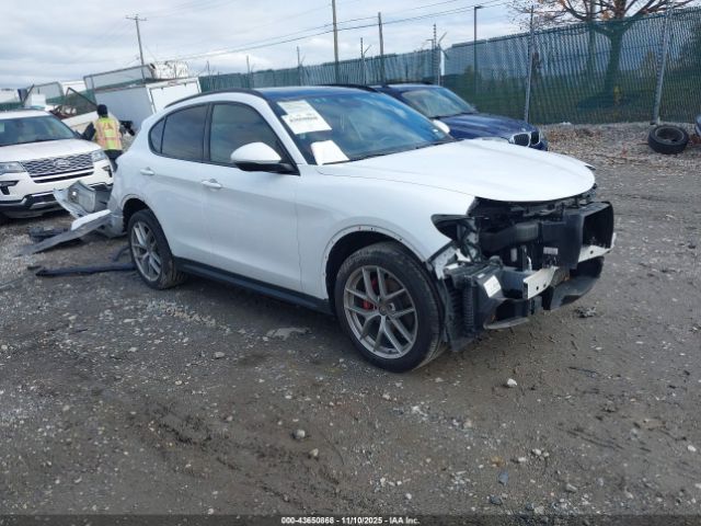 2019 ALFA ROMEO STELVIO ZASPAKBN2K7C44105