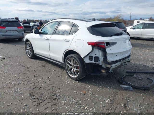 2019 ALFA ROMEO STELVIO ZASPAKBN2K7C44105 Photo 2