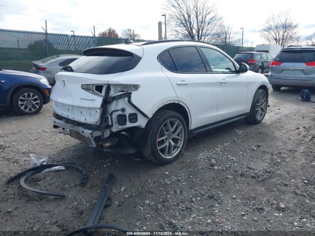 2019 ALFA ROMEO STELVIO ZASPAKBN2K7C44105 Photo 3