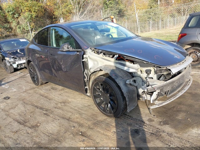 2021 TESLA MODEL Y 5YJYGDEE9MF067293 Photo 0