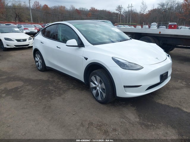 2023 TESLA MODEL Y 7SAYGDEE0PF789761 Photo 0