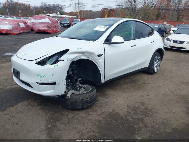 2023 TESLA MODEL Y 7SAYGDEE0PF789761 Photo 1