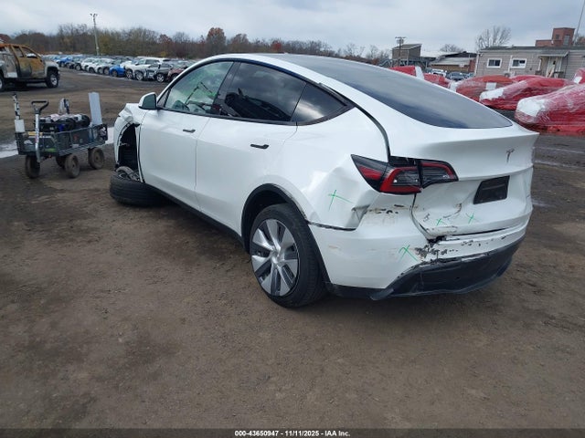 2023 TESLA MODEL Y 7SAYGDEE0PF789761 Photo 2