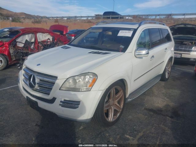 2010 MERCEDES-BENZ GL 550 4JGBF8GE2AA552873 Photo 1