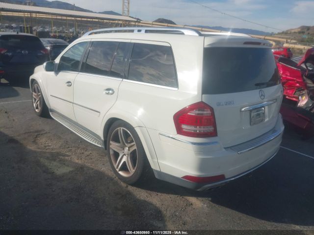 2010 MERCEDES-BENZ GL 550 4JGBF8GE2AA552873 Photo 2