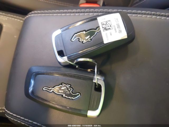 2024 FORD MUSTANG MACH-E 3FMTK3SU7RMA21913 Photo 10