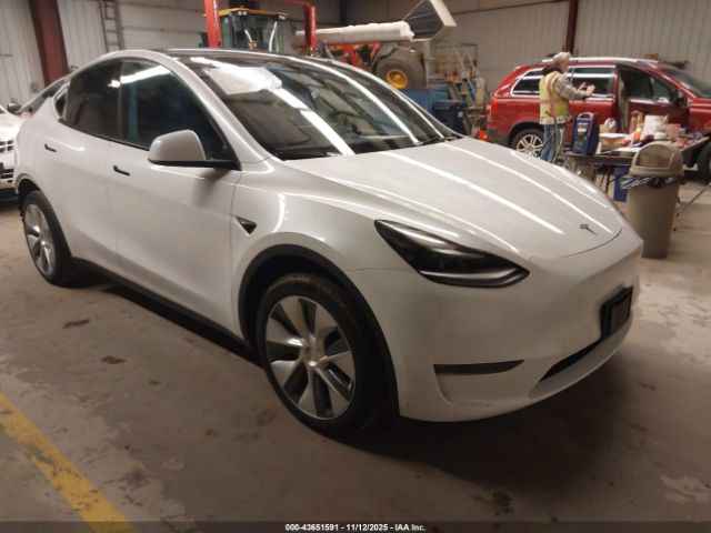 2023 TESLA MODEL Y 7SAYGDEE8PA173495 Photo 0