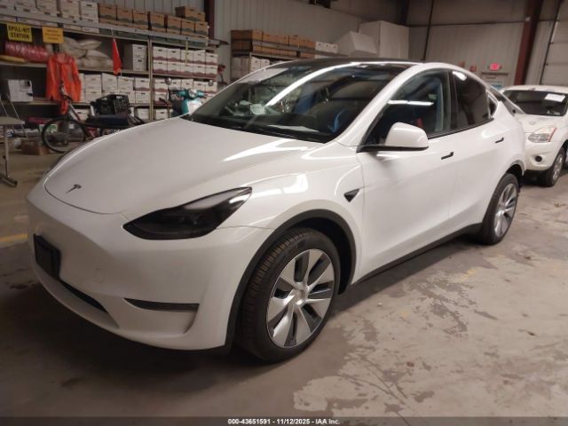 2023 TESLA MODEL Y 7SAYGDEE8PA173495 Photo 1