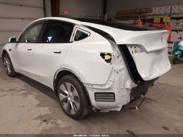 2023 TESLA MODEL Y 7SAYGDEE8PA173495 Photo 2