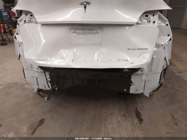 2023 TESLA MODEL Y 7SAYGDEE8PA173495 Photo 5