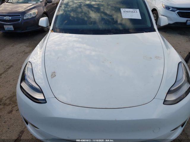 2020 TESLA MODEL Y 5YJYGDEE4LF057835 Photo 9
