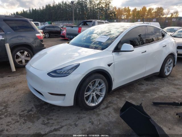 2020 TESLA MODEL Y 5YJYGDEE4LF057835 Photo 1