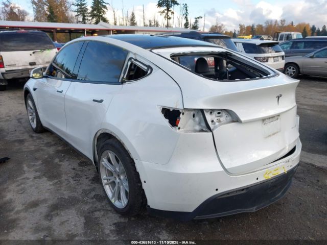 2020 TESLA MODEL Y 5YJYGDEE4LF057835 Photo 2