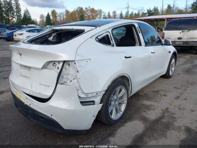 2020 TESLA MODEL Y 5YJYGDEE4LF057835 Photo 3