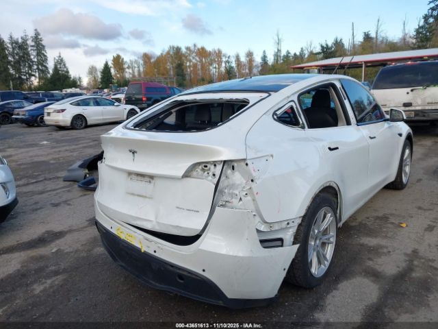 2020 TESLA MODEL Y 5YJYGDEE4LF057835 Photo 5