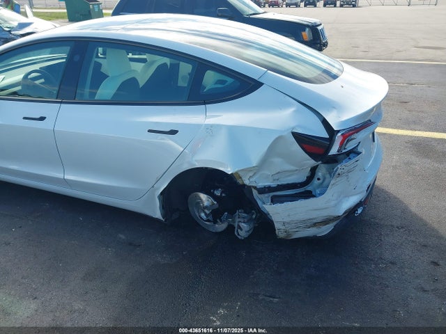 2024 TESLA MODEL 3 5YJ3E1EA8RF794203 Photo 5